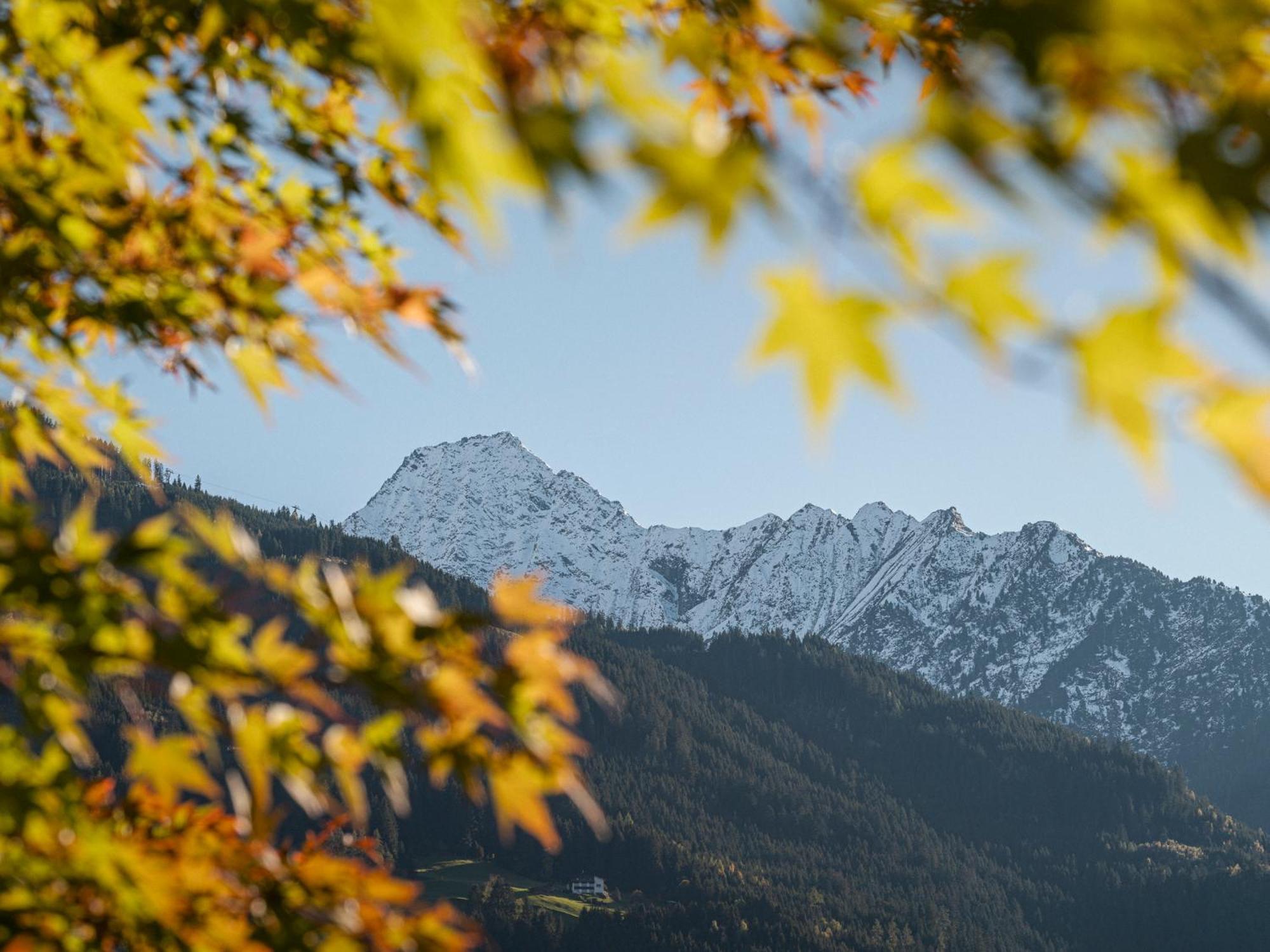 Apparthotel "Landhaus Veronika" Mayrhofen Dış mekan fotoğraf